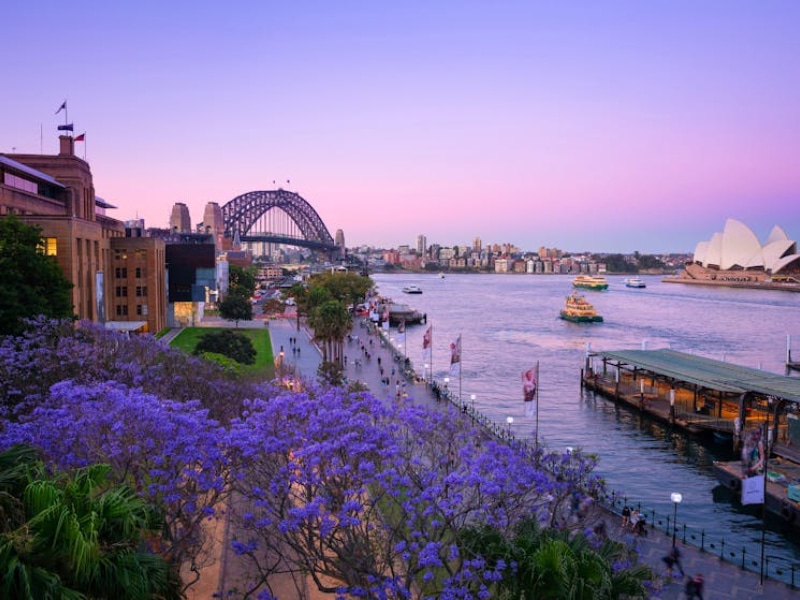 Indians eye Sydney as a promising investment hub - Construction Week India